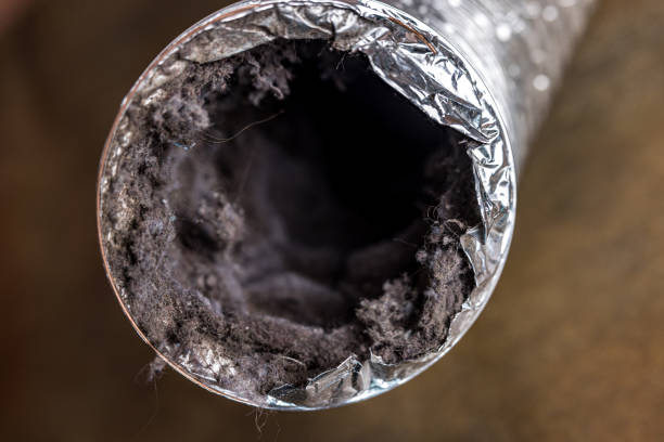 Best Air Duct Cleaning Near Me  in Blue Ash, OH